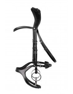 Montar Monarch Träns 2