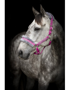 Grimma Horse Unique 2