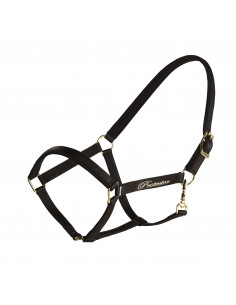 Halter Protector Derry 2