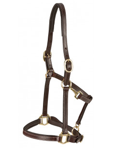 Lädergrimma - Lippo Basic 2