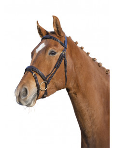 Träns Lippo Supreme Fancy 2