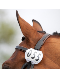 Tävlingsnummerhållare Rund 2