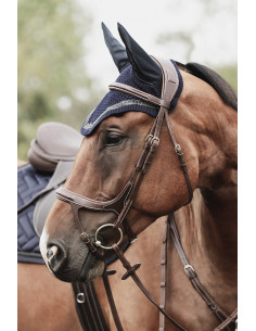 Bridle Lippo Supreme Fazzino