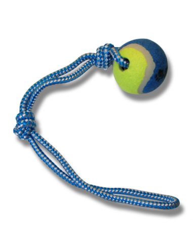 Ball throw with Tennis ball and rope
