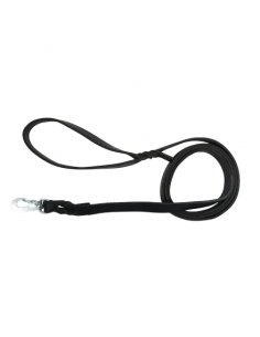 Dog leash in leather