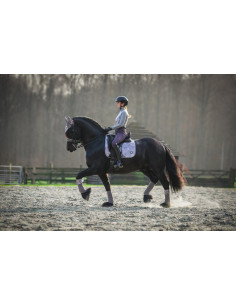 LeMieux Glacé Dressyr schabrak 2