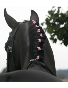 Manrosetter Rosa 20 ST/FP 2