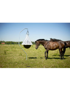 Horsefly Trap TaonX 2