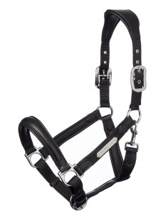 LeMieux Capella Lädergrimma 2