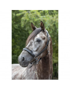 LeMieux Controll Lädergrimma 2