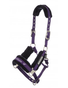 LeMieux Loire Headcollar