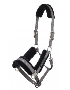 LeMieux Loire Grimma 2