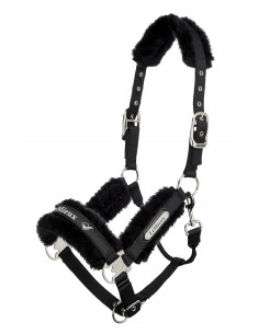 LeMieux Loire Grimma 2